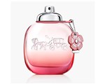 Ficha técnica e caractérísticas do produto Perfume Coach Floral Blush Feminino Eau de Parfum 50ml