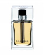 Ficha técnica e caractérísticas do produto Perfume Dior Homme Masculino - Eau de Toilette-100ml - Dior