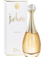 Ficha técnica e caractérísticas do produto Perfume Dior J'adore Feminino 100ml Eau de Parfum