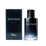 Ficha técnica e caractérísticas do produto Perfume Dior Sauvage 100ml Eau de Toilette Masculino