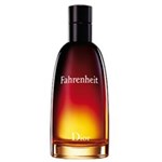 Ficha técnica e caractérísticas do produto Perfume Fahrenheit Eau de Toilette Masculino 100 Ml - Dior