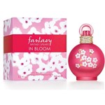 Ficha técnica e caractérísticas do produto Perfume Fantasy In Bloom By Britney Spears Feminino Eau de Toilette 100ml