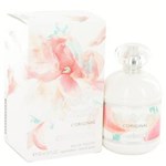 Ficha técnica e caractérísticas do produto Anais Anais L` Eau de Toilette Spray Perfume Feminino 100 ML