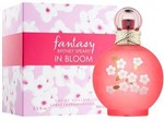 Ficha técnica e caractérísticas do produto Perfume Feminino Britney Spears Fantasy In Bloom Eau de Toilette 100ml