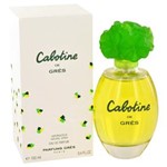 Ficha técnica e caractérísticas do produto Cabotine Eau de Parfum Spray Perfume Feminino 100 ML-Parfums Gres