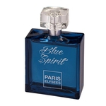 Ficha técnica e caractérísticas do produto Perfume Feminino Paris Elysee Blue Spirit 100ml