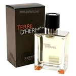 Ficha técnica e caractérísticas do produto Perfume Hermes Terre D`Hermes Masculino Eau De Toilette (100 Ml)