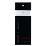 Ficha técnica e caractérísticas do produto Perfume Jacques Bogart Silver Scent Intense EDT Masculino 100ML