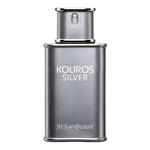 Ficha técnica e caractérísticas do produto Perfume Kouros Silver Masculino Eau de Toilette - 100ml