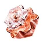 Ficha técnica e caractérísticas do produto Perfume Lady Emblem Elixir Feminino Eau de Parfum 30ml