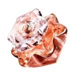 Ficha técnica e caractérísticas do produto Perfume Lady Emblem Elixir Feminino Eau de Parfum 75ml