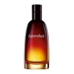 Ficha técnica e caractérísticas do produto Perfume Masculino Dior Fahrenheit Eau de Toilette - 100 Ml