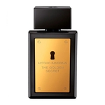 Ficha técnica e caractérísticas do produto Perfume Masculino The Golden Secret Eau de Toilette 200ml