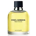 Ficha técnica e caractérísticas do produto Perfume Pour Homme Edt Masculino - Dolce Gabbana - 125 Ml