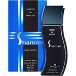 Ficha técnica e caractérísticas do produto Perfume Shaman Pour Homme Eau De Toilette - Arno Sorel - Masculino -  100ml