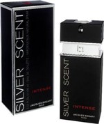 Ficha técnica e caractérísticas do produto Perfume Silver Scent Intense Jacques Bogart Eau de Toilette - Masculino 100ml