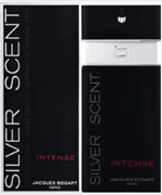 Ficha técnica e caractérísticas do produto Perfume Silver Scent Intense