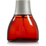 Ficha técnica e caractérísticas do produto Perfume Spirit Masculino Eau de Toilette 50ml - Antonio Banderas