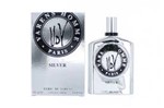 Ficha técnica e caractérísticas do produto Perfume Ulric de Varens Silver Homme EDT 100ML