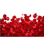 Ficha técnica e caractérísticas do produto Pétalas de Rosas Artificiais Vermelha em Tecido Caixa com 5.000 Unidades