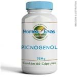 Ficha técnica e caractérísticas do produto Picnogenol 75Mg - 60 Cápsulas