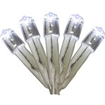 Ficha técnica e caractérísticas do produto Pisca 100 Lâmpadas LED - Luz Branca, 110 V - Christmas Traditions
