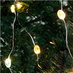 Ficha técnica e caractérísticas do produto Pisca "Time" a Prova D'Água 20 Lâmpadas Luz Colorida - Christmas Traditions