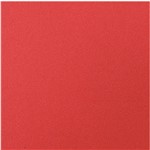 Ficha técnica e caractérísticas do produto Placa em Eva 48X40Cm Vermelho 1,6Mm Pct C/10 - Make+