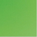 Ficha técnica e caractérísticas do produto Placa em EVA 48X40CM Verde Grama 1,6MM