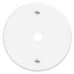 Ficha técnica e caractérísticas do produto Placa Espelho 3'' F6 Redonda com Furo 10mm Blanc - 0451 - FAME