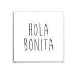 Ficha técnica e caractérísticas do produto Placa Hola Bonita 41x41cm - Estúdio 87
