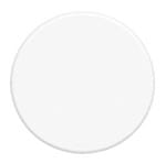 Ficha técnica e caractérísticas do produto Placa Sem Suporte 4" Branco Blanc Fame
