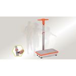 Ficha técnica e caractérísticas do produto Plataforma Vibratória Energym Express Upfitness | Bivolt