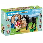 Ficha técnica e caractérísticas do produto Playmobil Cavalos Colecionáveis 5519 - Sunny