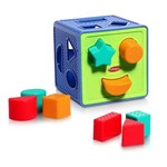 Ficha técnica e caractérísticas do produto Playskool-Cubos com Formas Geométricas Hasbro 00322