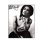 Ficha técnica e caractérísticas do produto Pôster Bob Marley