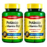 Ficha técnica e caractérísticas do produto Potássio + Vitamina B12 - 2x 60 Cápsulas - Maxinutri