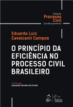 Ficha técnica e caractérísticas do produto Principio da Eficiencia no Processo Civil Brasileiro, o