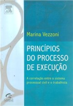 Ficha técnica e caractérísticas do produto Princípios do Processo de Execução - Campus