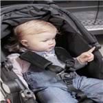 Ficha técnica e caractérísticas do produto Protetor Acolchoado 2 em 1 Cadeira e Carrinho de Bebê