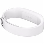 Ficha técnica e caractérísticas do produto Pulseira Inteligente Smartband Sony Swr 10 Branca