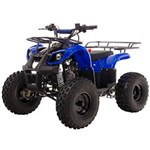 Ficha técnica e caractérísticas do produto Quadriciclo ATV BK-503HW 110CC Azul - Bull Motors