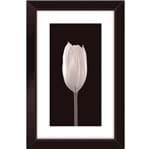Ficha técnica e caractérísticas do produto Quadro Black Tulipa 19x29cm