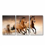 Ficha técnica e caractérísticas do produto Quadro Cavalos Decorativo Paisagem em Tecido 3 Peças