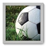 Ficha técnica e caractérísticas do produto Quadro com Moldura - 22x22 - Futebol - N1