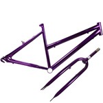Ficha técnica e caractérísticas do produto Quadro de Bicicleta Feminino Aro 26 + Garfo Lilas