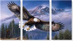 Ficha técnica e caractérísticas do produto Quadro Decorativo Pássaro Águia 3 Peças