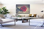 Ficha técnica e caractérísticas do produto Quadro Decorativo Sala Flor Rosa Vermelha