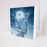 Ficha técnica e caractérísticas do produto Quadro Decorativo - Snow Owl - Tag 16x16