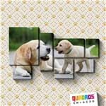 Ficha técnica e caractérísticas do produto Quadros Decorativos "seu Dog" - Personalizável - 7 Peças